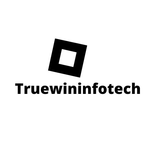 truewininfotech.com