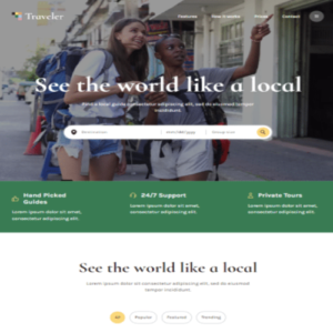 Static Website Development Business Website